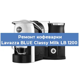 Чистка кофемашины Lavazza BLUE Classy Milk LB 1200 от накипи в Нижнем Новгороде